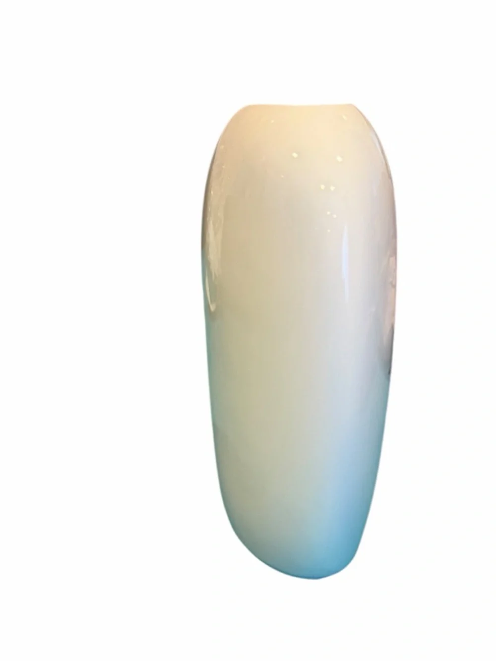 Shaddy VINTAGE 1980s Japanese Porcelain Hand-Painted Pillow Vase